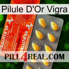 Vigra Gold Pill new01